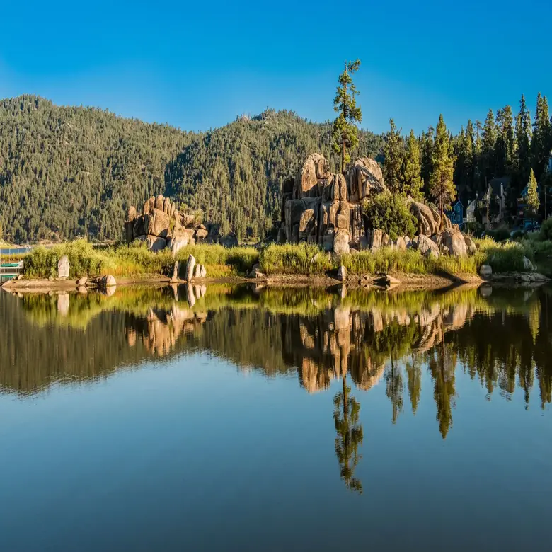 Lake Forest